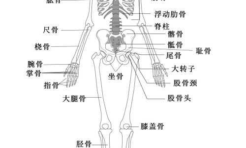 肉汤有什么营养-肉汤中的营养价值网 | 肉汤中的营养价值高吗,肉汤的营养价值及功效