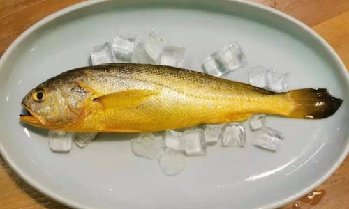 肉汤中的营养价值有哪些-肉汤中的营养价值网 | 肉汤中的营养价值高吗,肉汤的营养价值及功效