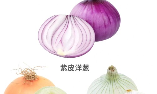 肉汤中的营养价值有哪些-肉汤中的营养价值网 | 肉汤中的营养价值高吗,肉汤的营养价值及功效